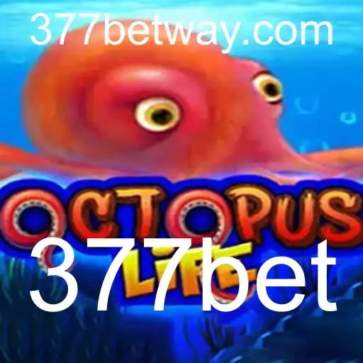 Desvendando OctopusLife: Um Guia Completo para Jogadores